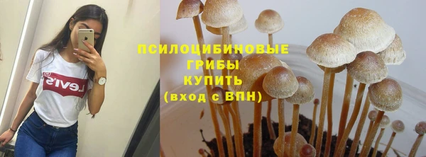 ПСИЛОЦИБИНОВЫЕ ГРИБЫ Медвежьегорск