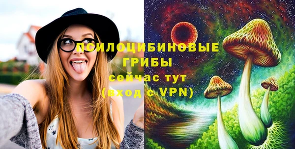 соль ск Абдулино