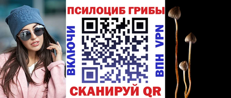 Псилоцибиновые грибы мухоморы  Струнино 